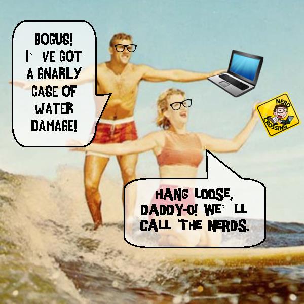 Have a Nerdy Summer!