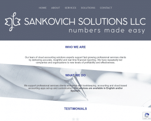 Nerd Crossing built Sankovich Solutions website
