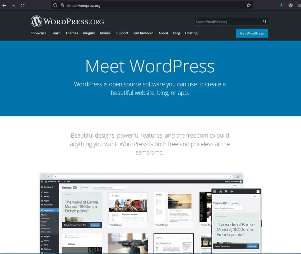 Wordpress website