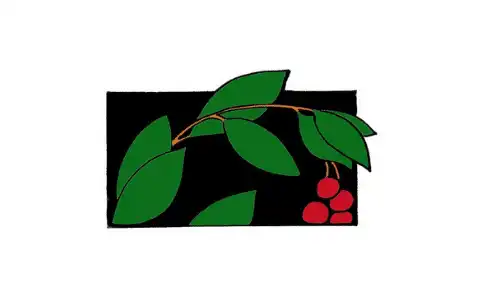 manzanita-charter-middle-school-logo Manzanita Charter Middle School