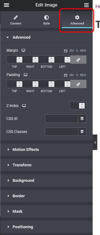 advanced options tab