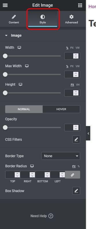 image style options